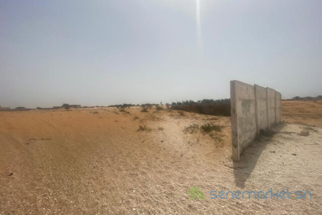 terrain-de-8-hectares-vers-kayar-big-0