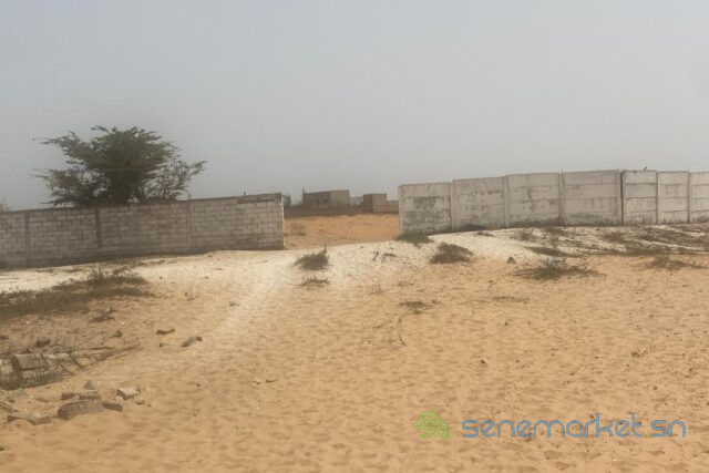 terrain-de-8-hectares-vers-kayar-big-1