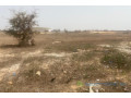 terrain-de-403-hectares-vers-kayar-small-0