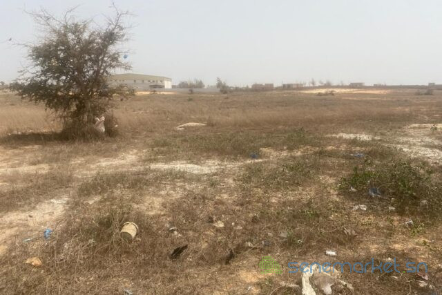 terrain-de-403-hectares-vers-kayar-big-0