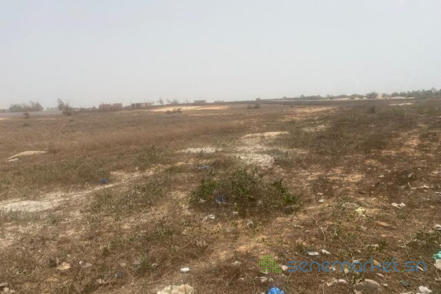 terrain-de-403-hectares-vers-kayar-big-1