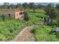 verger-de-4-hectares-vers-ndame-small-1
