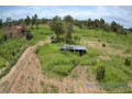 verger-de-4-hectares-vers-ndame-small-2
