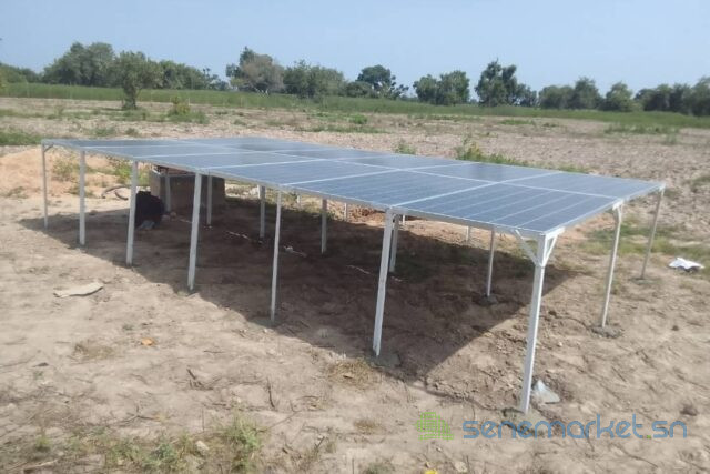 verger-de-4-hectares-vers-ndame-big-0