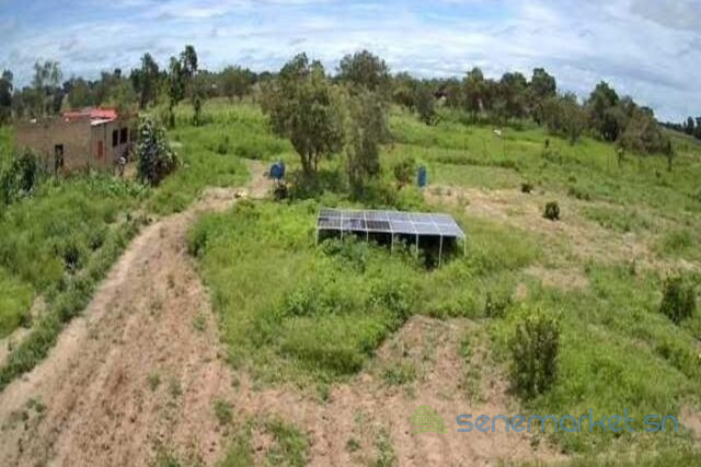 verger-de-4-hectares-vers-ndame-big-2