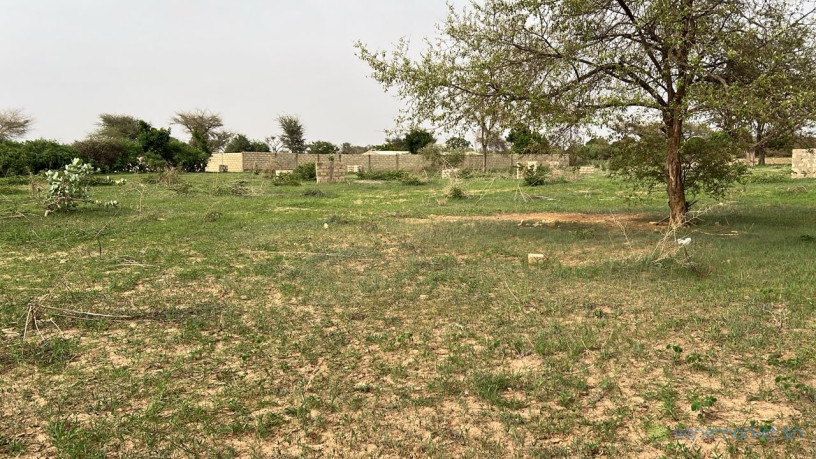 terrain-de-600-metres-carres-a-vendre-a-malicounda-sn-big-1