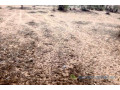 terrain-de-08-hectares-vers-diokoul-diawrigne-small-0