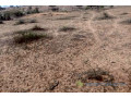 terrain-de-08-hectares-vers-diokoul-diawrigne-small-1