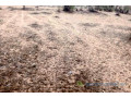terrain-de-08-hectares-vers-diokoul-diawrigne-small-2