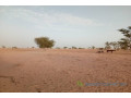 terrain-de-25-hectares-vers-touba-small-1