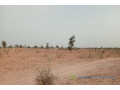 terrain-de-25-hectares-vers-touba-small-2