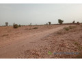 terrain-de-20-hectares-vers-touba-small-0