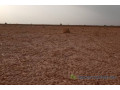 terrain-de-20-hectares-vers-touba-small-1