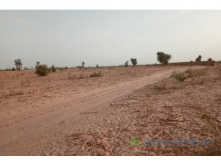 Terrain de 20 hectares vers Touba