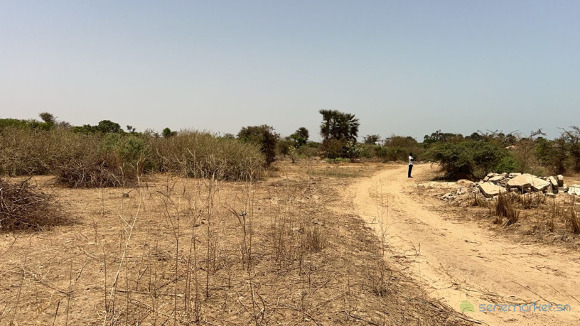 terrain-de-1200-metres-carres-a-vendre-a-saly-jo-big-3