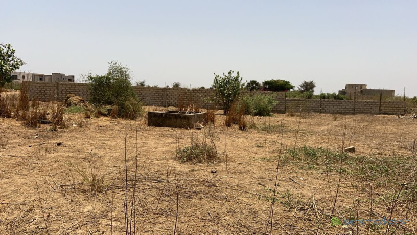 terrain-de-1200-metres-carres-a-vendre-a-saly-jo-big-1