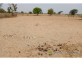 terrain-de-7067-m2-vers-tassette-small-1