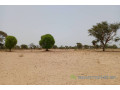 terrain-de-158-hectare-vers-tassette-small-0