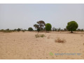 terrain-de-158-hectare-vers-tassette-small-1