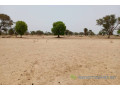 terrain-de-158-hectare-vers-tassette-small-2