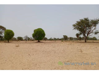 Terrain de 1,58 hectare vers Tassette