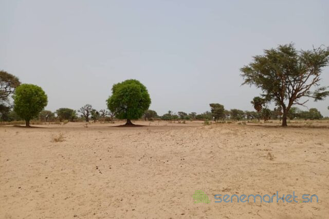 terrain-de-158-hectare-vers-tassette-big-0