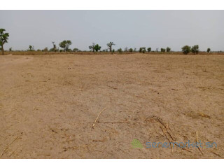 Terrain de 3,20 hectares vers Tassette