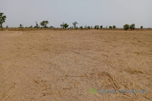 terrain-de-320-hectares-vers-tassette-big-0