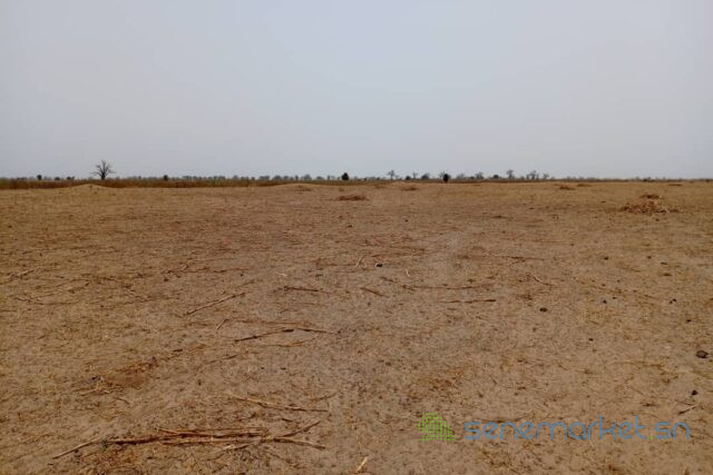 terrain-de-320-hectares-vers-tassette-big-1