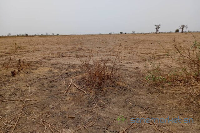 terrain-de-320-hectares-vers-tassette-big-2