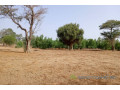 terrain-de-7923-m2-vers-tassette-small-0