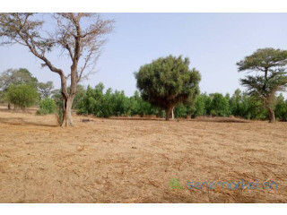 Terrain de 7923 m² vers Tassette