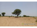 terrain-de-204-hectares-vers-tassette-small-0