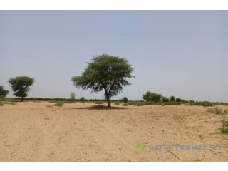 Terrain de 2,04 hectares vers Tassette