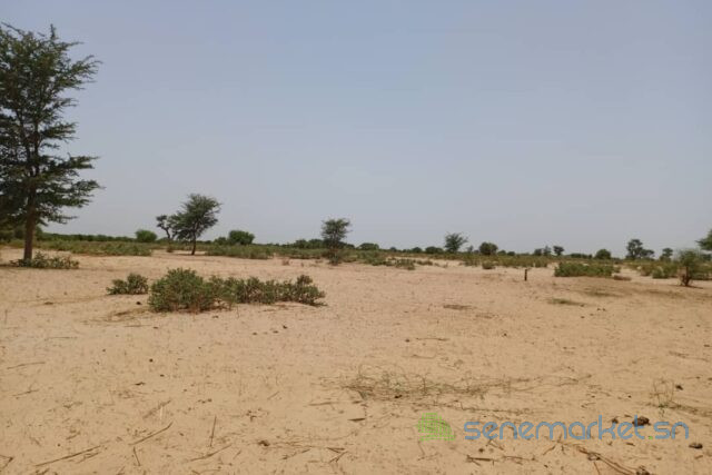 terrain-de-204-hectares-vers-tassette-big-2