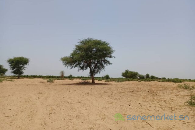 terrain-de-204-hectares-vers-tassette-big-0