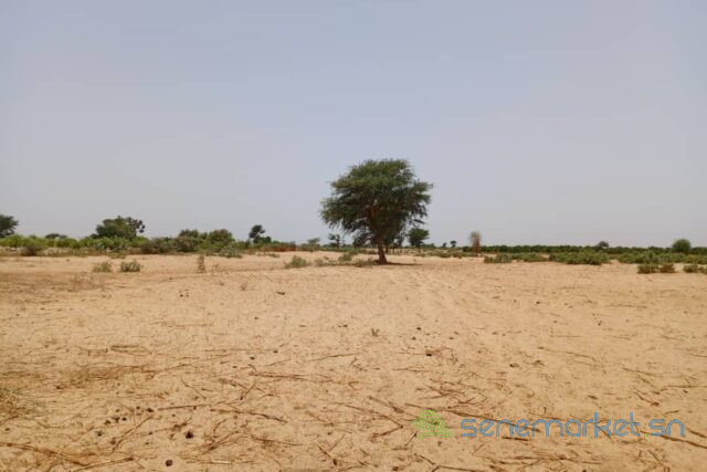 terrain-de-204-hectares-vers-tassette-big-1