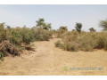 terrain-de-48-hectares-vers-koul-small-2