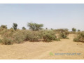 terrain-de-48-hectares-vers-koul-small-1