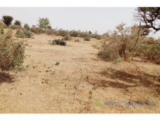 Terrain de 48 hectares vers Koul