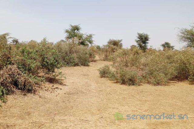 terrain-de-48-hectares-vers-koul-big-2