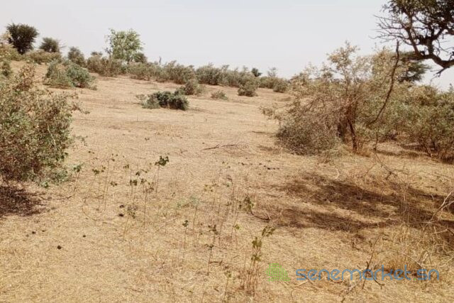 terrain-de-48-hectares-vers-koul-big-0