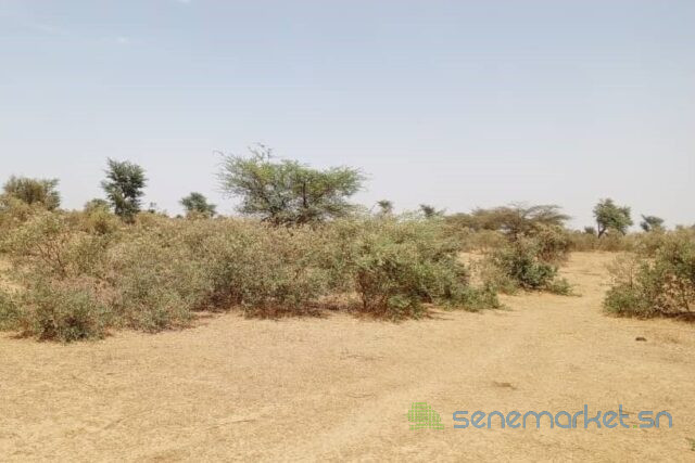 terrain-de-48-hectares-vers-koul-big-1