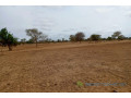 terrain-de-515-hectares-vers-keur-samba-kane-small-1