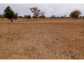 terrain-de-515-hectares-vers-keur-samba-kane-small-2