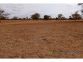terrain-de-515-hectares-vers-keur-samba-kane-small-0
