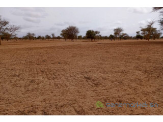Terrain de 5,15 hectares vers Keur Samba Kane