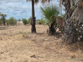 terrain-de-300-metres-carres-a-vendre-a-ndangane-senegal-small-2