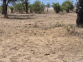 terrain-de-300-metres-carres-a-vendre-a-ndangane-senegal-small-4
