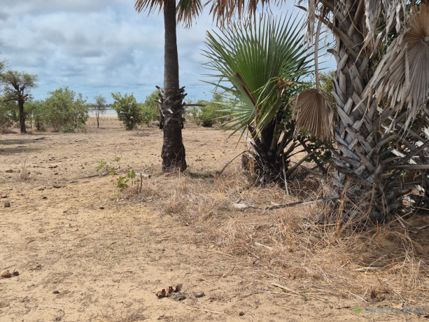 terrain-de-300-metres-carres-a-vendre-a-ndangane-senegal-big-2
